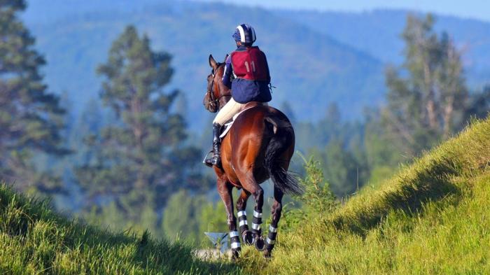 Reiter auf Pferd beim Distanzreiten durch schöne Landschaft