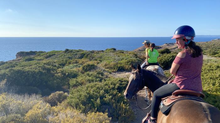 Frau auf Pferd beim Ausritt im Reiturlaub für Erwachsene am Meer