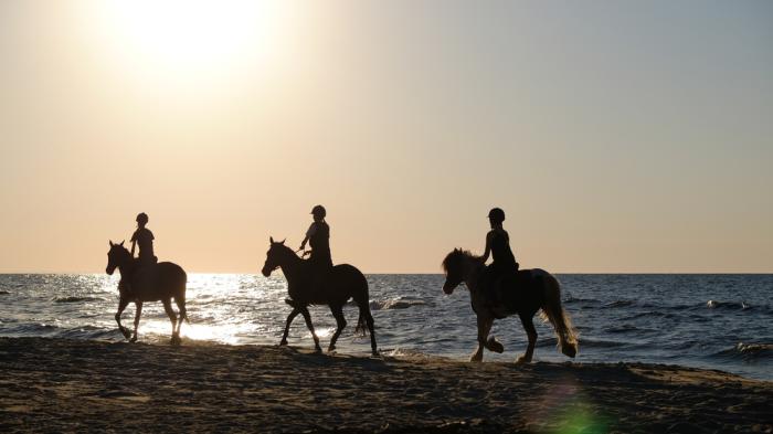 Drei Reiter reiten am Strand im Sonnenuntergang mit dem Meer im Hintergrund
