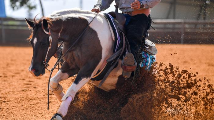 Sliding Stop beim Westernreiten Pferd bremst stark ab