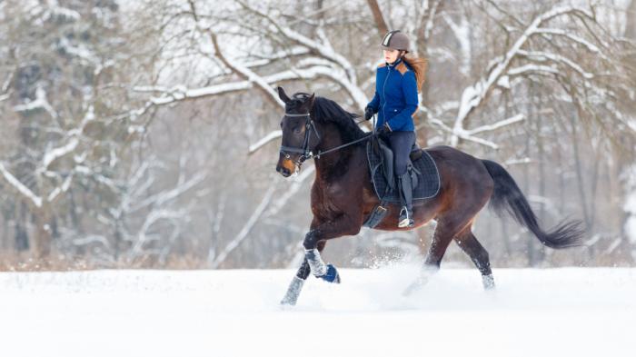 Reiten im Schnee - Reiterin reitet flott auf einem Pferd durch den Winterwald
