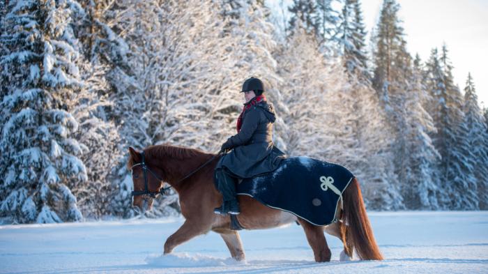 Reiten im Schnee - Frau Reitet auf Pferd durch tief verschneite Winterlandschaft