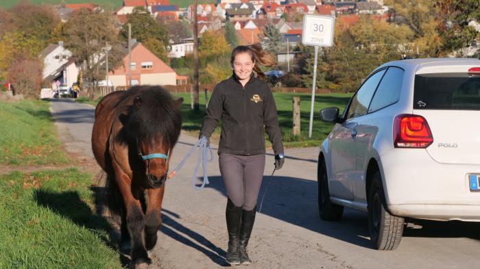Reiterin führt Pferd an Auto Vorbei - Sicherheit beim Reiten 