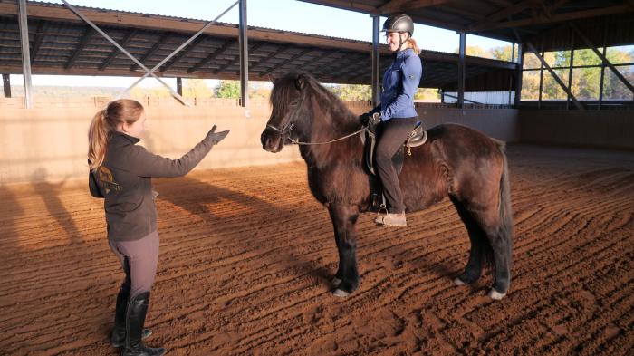 Reitlehrerin gibt Reitschülerin auf braunem Pferd Reitunterricht für Erwachsene