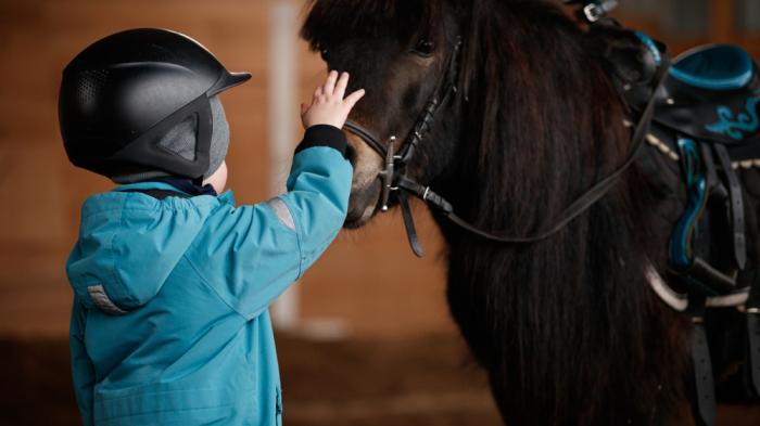 Hippolini - Kind streichelt Pferd am Kopf beim ersten Kontakt