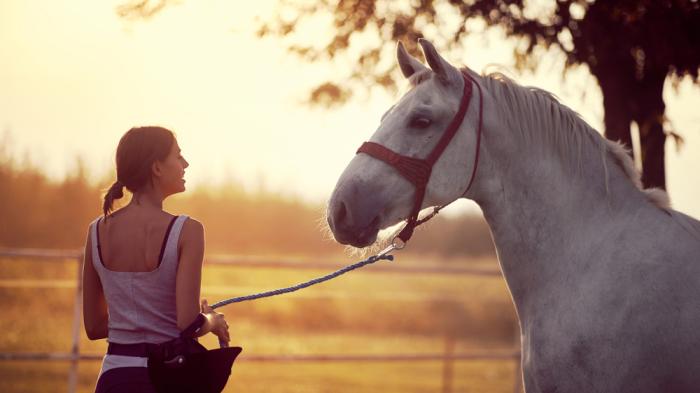 Mädchen mit Pferd im Sonnenuntergang beim FÖJ Freiwilliges Ökologisches Jahr 