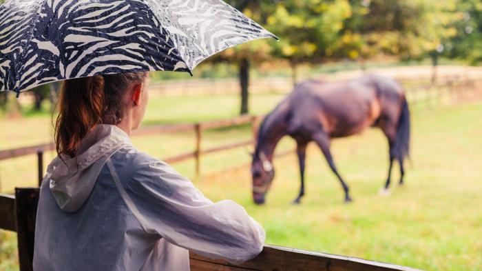 Frau beobachtet Pferd beim Anweiden im Regen