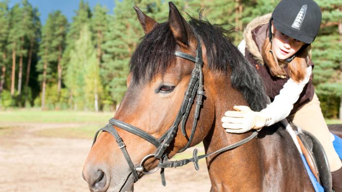 Junges nach vorne gebeugtes Mädchen auf einem braunen Pferd mit dunkler Mähne sitzend und streichelt den Hals des Pferdes