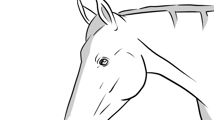 Schwarz-weiß Zeichnung eines Pferdekopfes mit leicht nach vorne geneigtem Kopf und aufgestellten Ohren