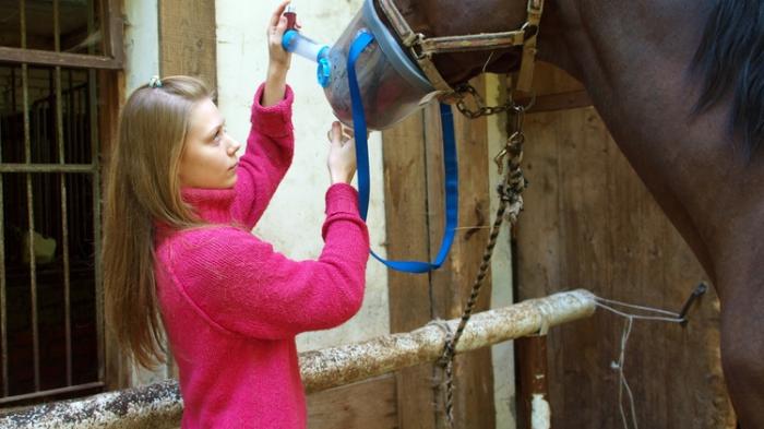 Ein braunes Pferd mit Frau in pinkfarbenem Pullover und mit einem Inhalationsgerät