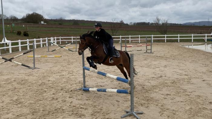 Pferd mit Reiter auf Springplatz von Gut Hohenrod