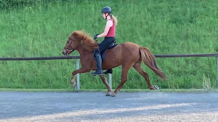 Frau auf einem braunen Pferd im Tölt