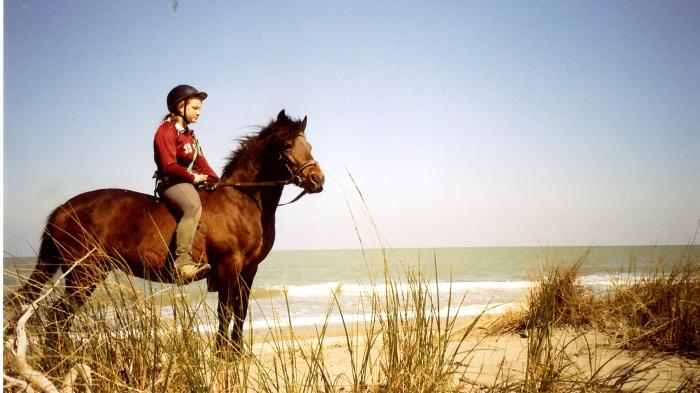 Ein auf einem brauen Pferd sitzendes Mädchen steht am Strand