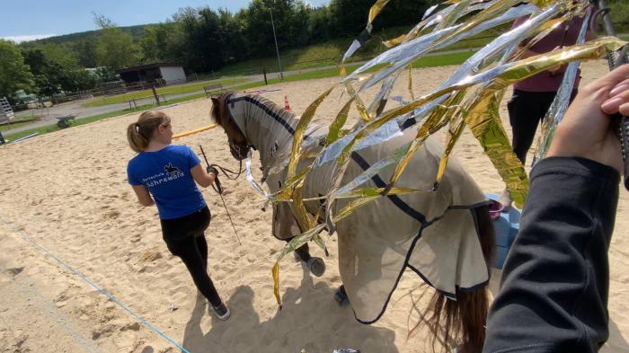 Frau mit blauem T-Shirt führt Pferd mit Decke unter einem Flatterband durch