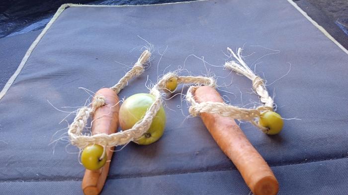 Seil mit zwei Karotten, zwei kleinen und einem großen Apfel darauf