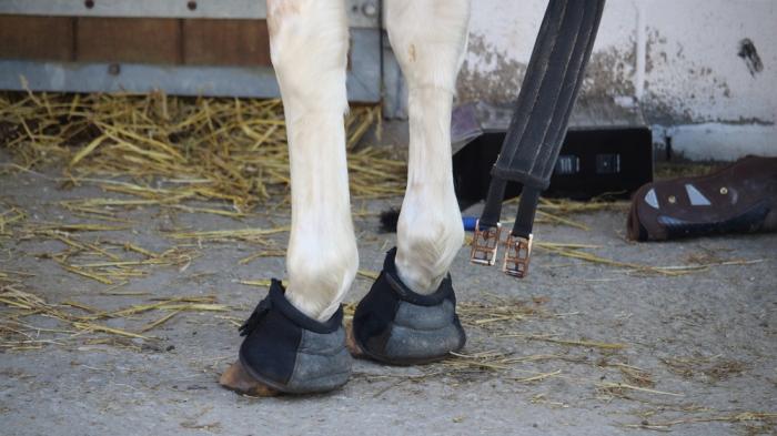 Weiße Pferdebeine mit schwarzen Hufschuhen stehen auf einem betonierten Boden mit Stroh. Neben den Beinen hängt ein Sattelgurt runter und es liegen Gegenstände auf dem Boden