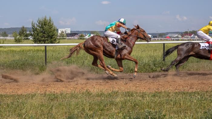 Zwei braune Rennpferde galoppieren mit ihren Jockeys auf einer staubigen Bahn. Ein Jockey trägt ein grün-gelbes und der andere ein gelbes Trikot.