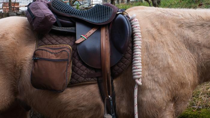 Ein braunes Pferd mit einem Sattel, einer Satteltasche und einem zusammengerollten Seil an der Seite, stehend in einer ländlichen Umgebung.