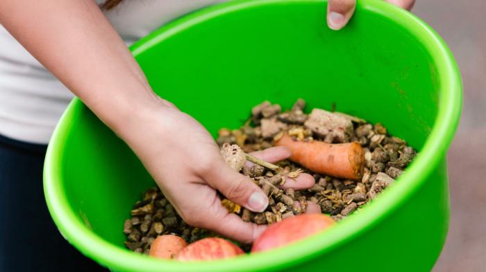 Eine Person hält eine grüne Schüssel mit Pferdefutter, das Karotten, Äpfel und Pellets enthält, und greift hinein.