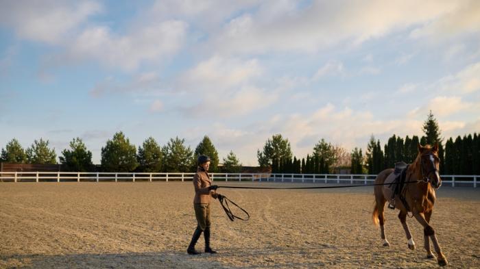 Eine Person longiert ein braunes Pferd mit Sattel und Trense auf einem weitläufigen Sandplatz, umgeben von Bäumen und einem weißen Zaun bei leicht bewölktem Himmel.