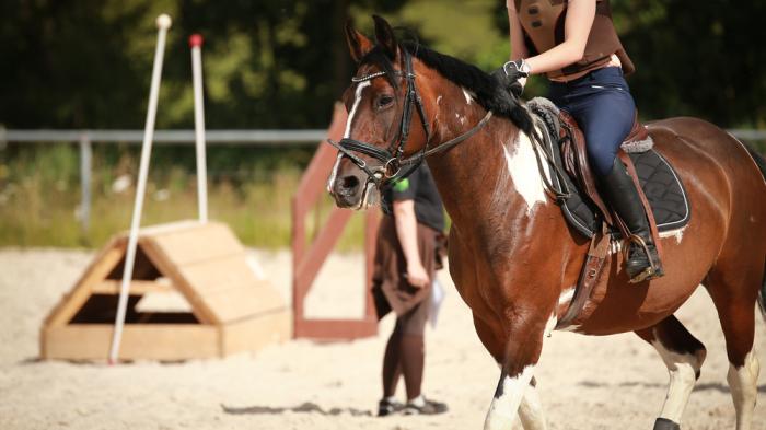Ein Reiter auf einem braun-weißen Pferd reitet auf einem Sandplatz. Im Hintergrund sind Hindernisse und eine weitere Person zu sehen.