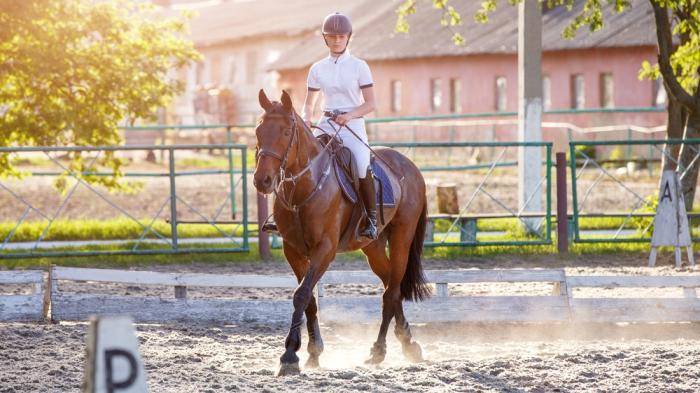 Eine junge Frau in weißer Reitkleidung sitzt auf einem braunen Pferd und reitet auf einem umzäunten Sandplatz bei Sonnenschein.