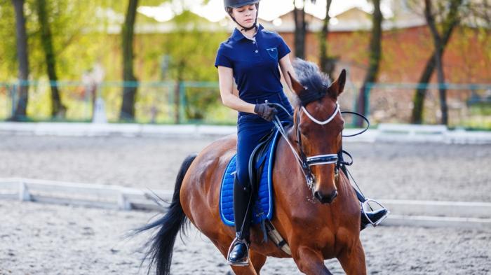 Eine Reiterin in blauer Kleidung und Helm reitet ein braunes Pferd mit blauer Schabracke auf einem Reitplatz. Bäume sind im Hintergrund sichtbar.