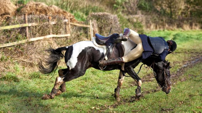 Ein Reiter stürzt kopfüber von einem galoppierenden schwarz-weißen Pferd auf einer matschigen Wiese nahe einem Holzzaun.