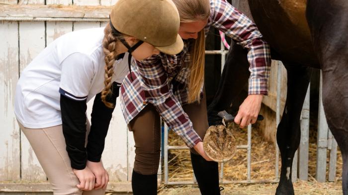 Eine Frau mit karierter Bluse zeigt einem Mädchen mit Reithelm, wie man den Huf eines Pferdes reinigt. Das Pferd ist braun und sie stehen in einem Stall vor einer weißen Holzwand.
