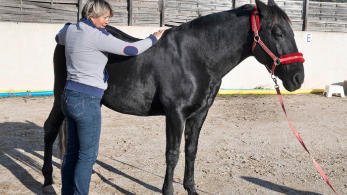 Eine Frau mit kurzen Haaren in Jeans streichelt den Rücken eines schwarzen Pferdes mit rotem Halfter auf einem sandigen Platz, umgeben von Mauer und Zäunen.