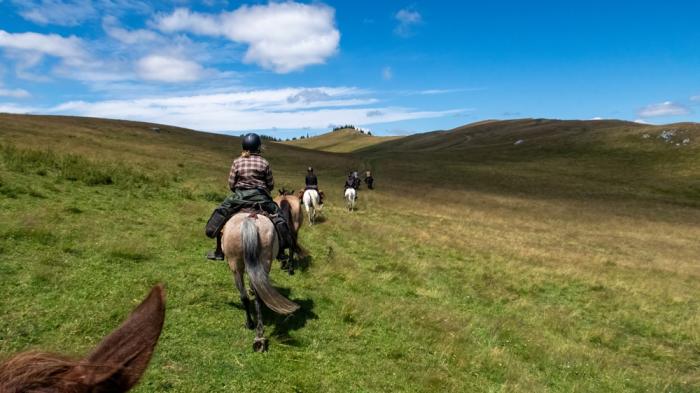 Eine Gruppe von Reitern auf einer weiten, grünen Wiese unter blauem Himmel mit weißen Wolken. Die Landschaft ist hügelig und weitläufig.