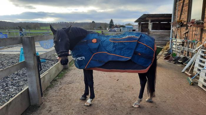 Ein schwarzes Pferd, das eine blaue orangene Bemer-Decke für Magnetfeldtherapie trägt, steht festgebunden auf sandigem Boden an einem Holzzaun, der einen Reitplatz mit dunklem Belag umrahmt.