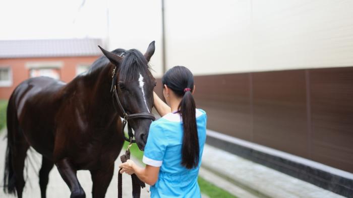 Frau mit braunem Zopf und blauem Oberteil steht vor einem braunem Pferd
