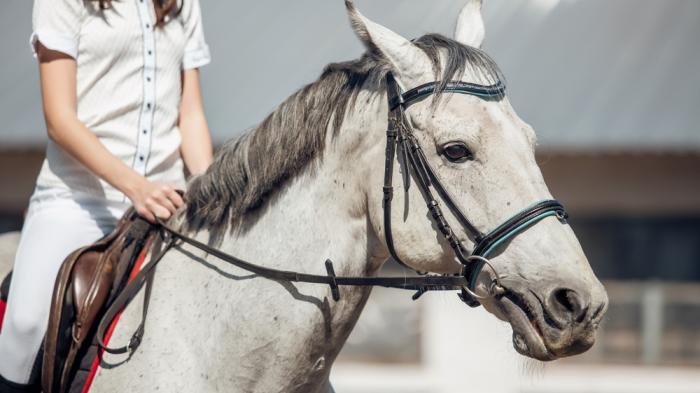 Eine Frau mit weißer Bluse und Hose sitzt auf einem weißen Pferd