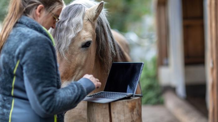 Frau steht am Laptop mit einem Pferd daneben