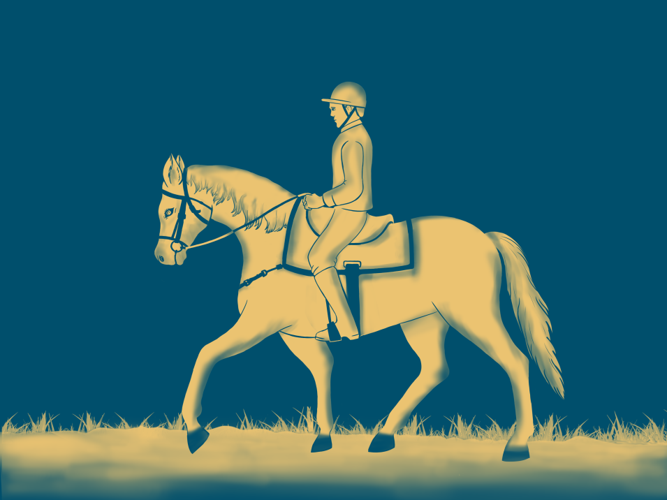 Zeichnungen von einem Reiter auf dem Pferd im korrekten Reitersitz