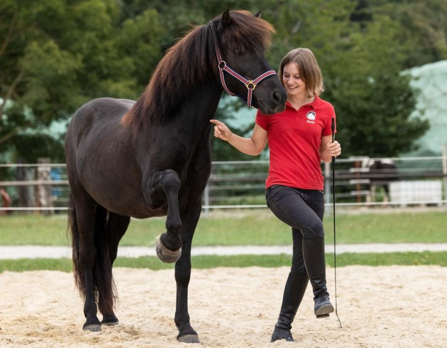 Zirzensik Übung, Pferd und Trainerin machen Spanischen Schritt
