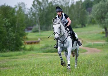 Reiter auf Pferd reitet bei einem Distanzreiten Wettbewerb durch Wiesen und Wälder