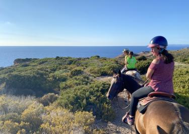 Frau auf Pferd beim Ausritt im Reiturlaub für Erwachsene am Meer