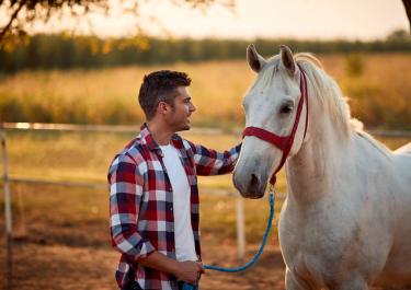 Beruf mit Pferden, ein Pferdewirt mit Pferd
