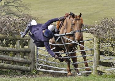 Reiter stürzt über Zaun vom Pferd