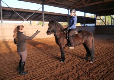 Reitlehrerin gibt Reitschülerin auf braunem Pferd Reitunterricht für Erwachsene